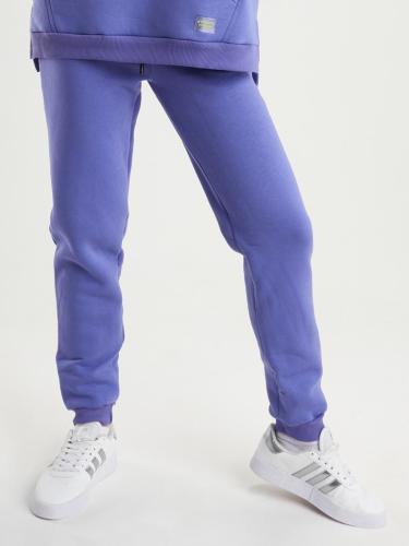 Брюки спортивные C-14510, т-сиреневый